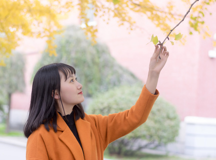 营销平台